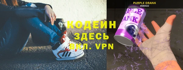 индика Арсеньев