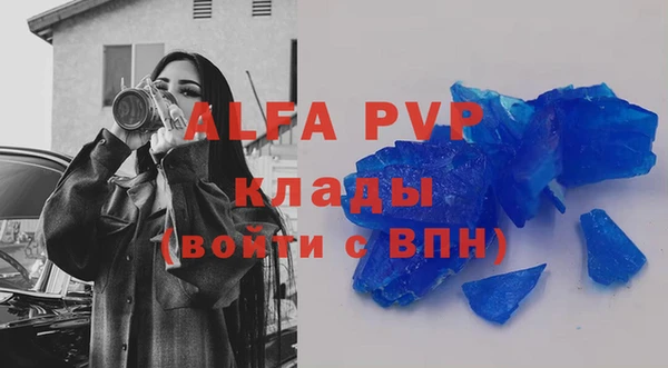 индика Арсеньев