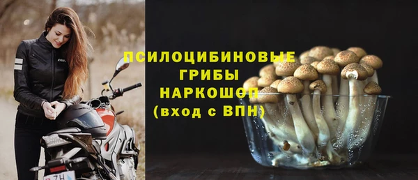индика Арсеньев
