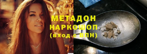 индика Арсеньев