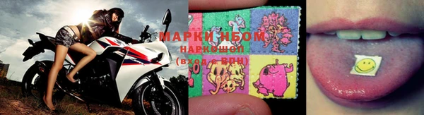 индика Арсеньев
