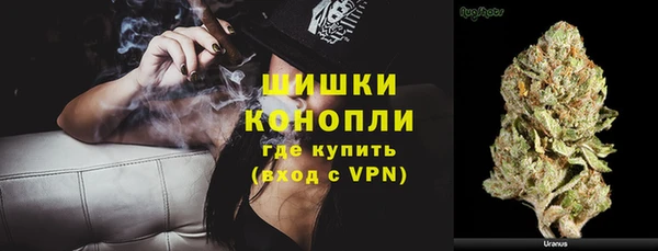 индика Арсеньев