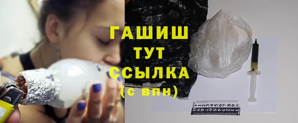 индика Арсеньев