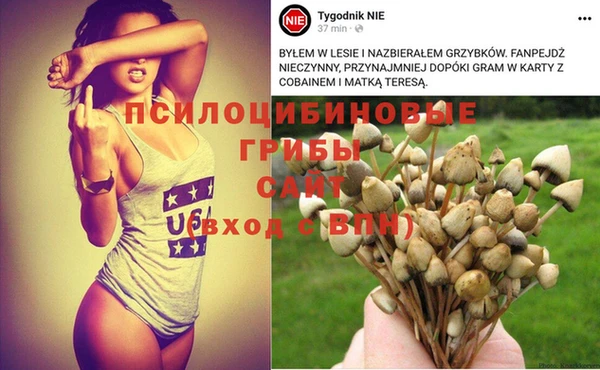 альфа пвп Армянск
