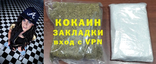 индика Арсеньев