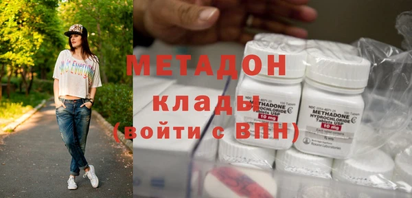 индика Арсеньев