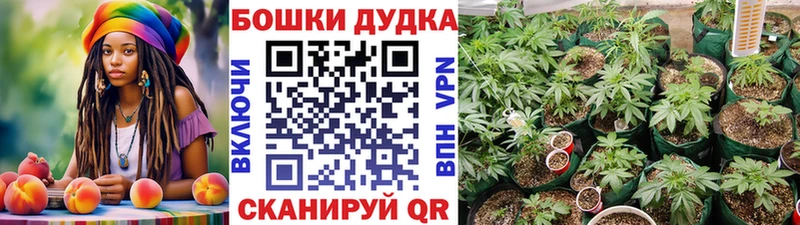 МАРИХУАНА LSD WEED  как найти закладки  Болхов 
